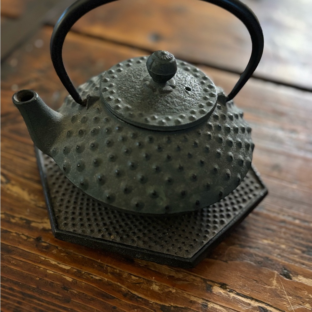 Authentic Japanese Tetsubin Cast Iron Teapot with Trivet, Signed